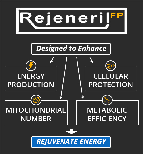 Paladium Energy Supplement Infographic